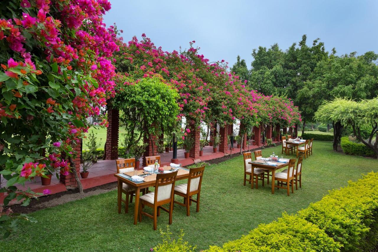 Naturoville Wellness Resort Rishikesh - Surrounded By Nature, Rooted In Wellness Doiwāla 외부 사진